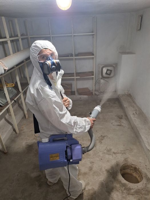 Servicii DDD -Dezinsectie Deratizare Dezinfecție