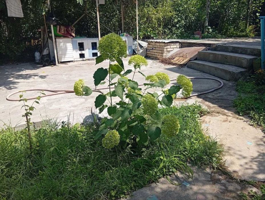 Продается Уютная Дача 10 соток, Паркенский район