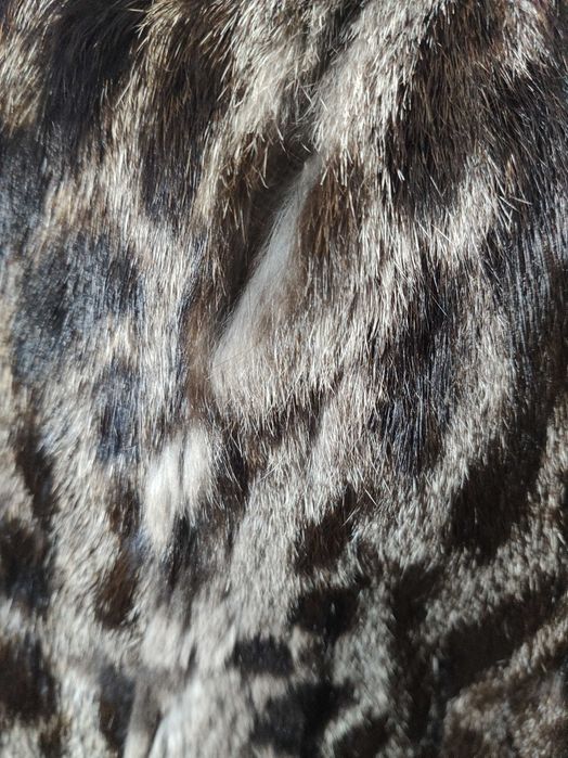 Haină blană naturală de râs - deosebită!