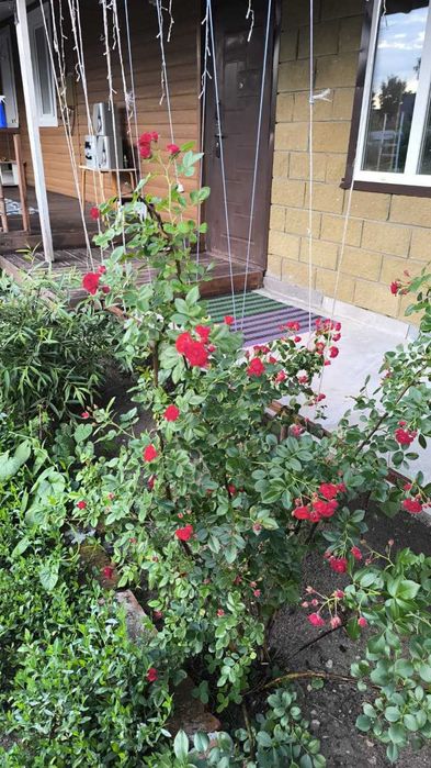 Продам Дом в Бишкуле