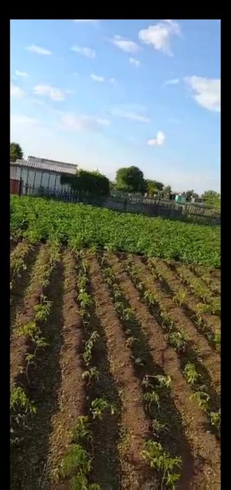 Продам дачу на ПК Союз