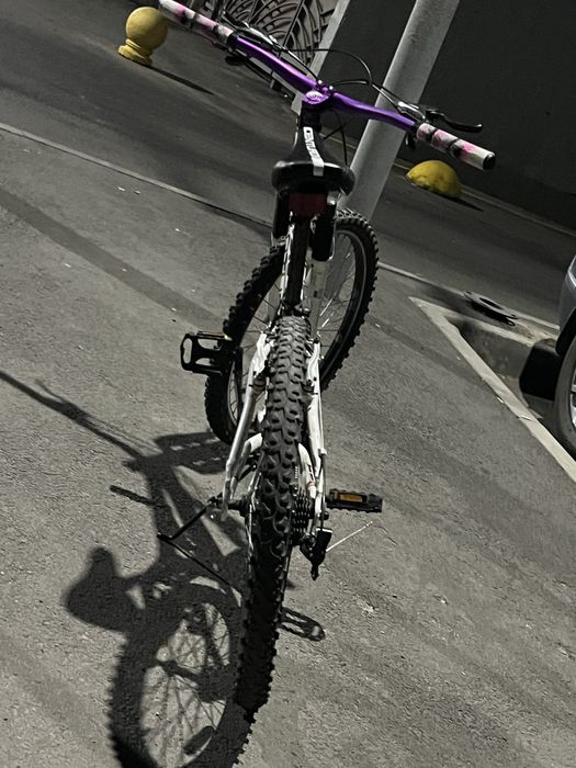 Кастомный Centurion R Bock 24’’