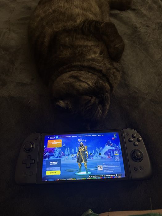 Nintendo switch Oled totk edition