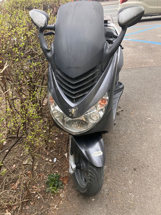 Peugeot Elystar 50 TSDI