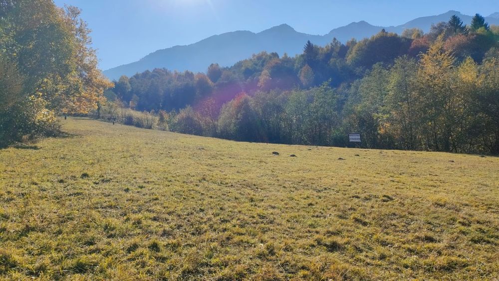 Teren zona Bran Tohanita!