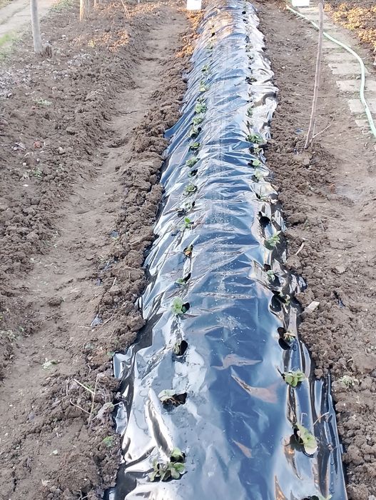 Автоматизирани поливни системи  безплатен оглед.