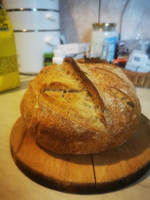 Maia salbatica din faina de grau (contine gluten)