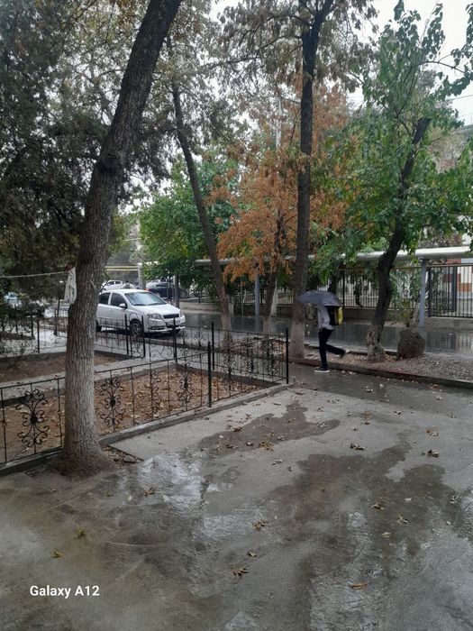 Куйлук Массив 1   1/1/5