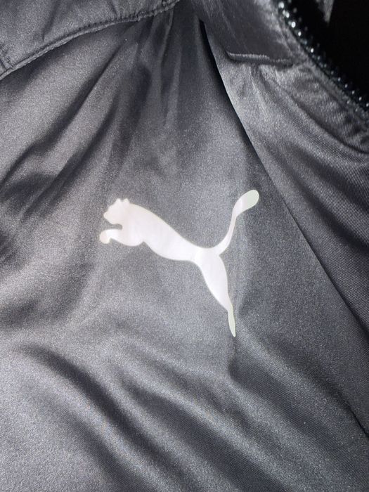 Яке (puma).