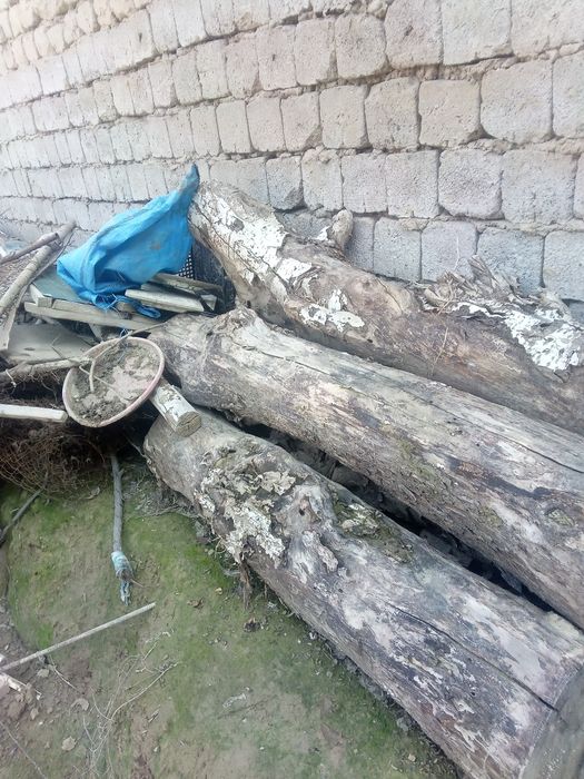 Утин кимга керак булса олсин келишамиз