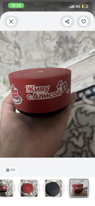 Алиса сатылады. Даусы әдемі шығады