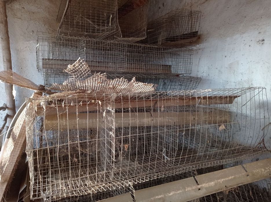Tovuq uchun kataklar(qafaslar) 400 ta tovuq sģadi