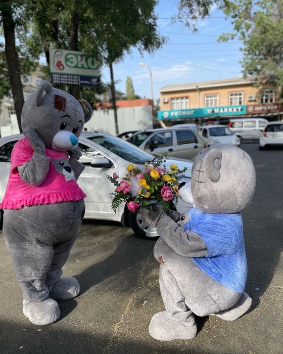 Ayiqlar(toza.sifatli)