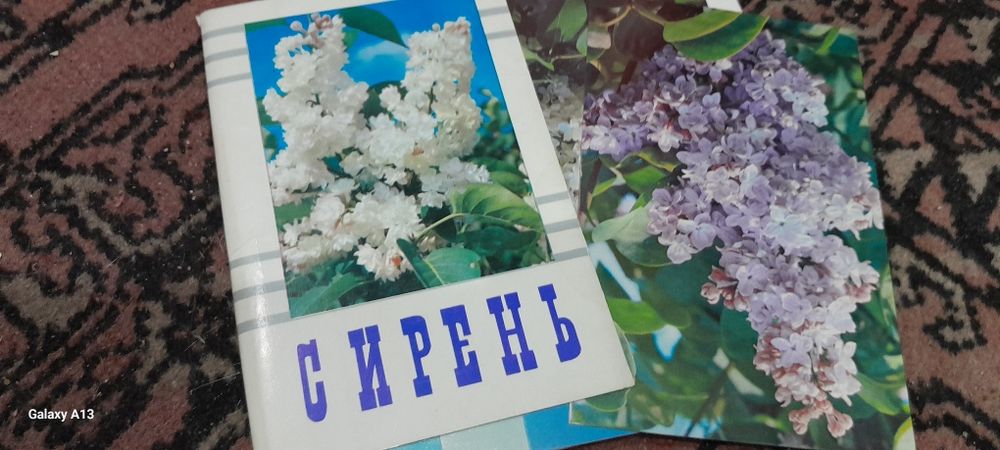 Открытки СССР 1960–1990 гг.