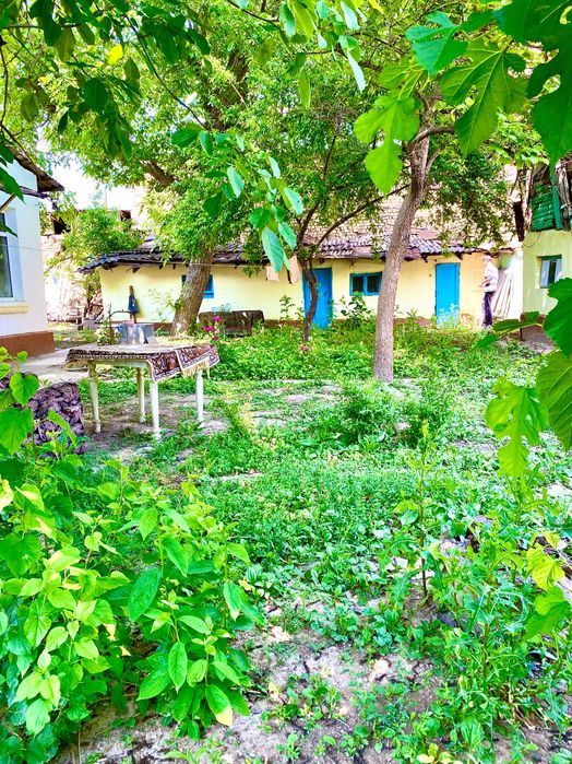 Продается дом с участком, уникальное месторасположение!