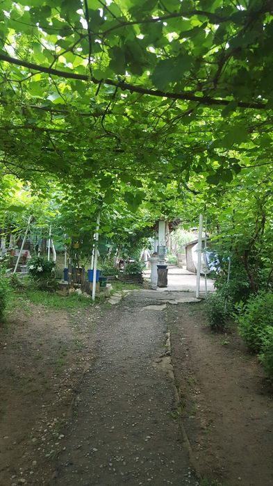 Casă la țară, Țuglui