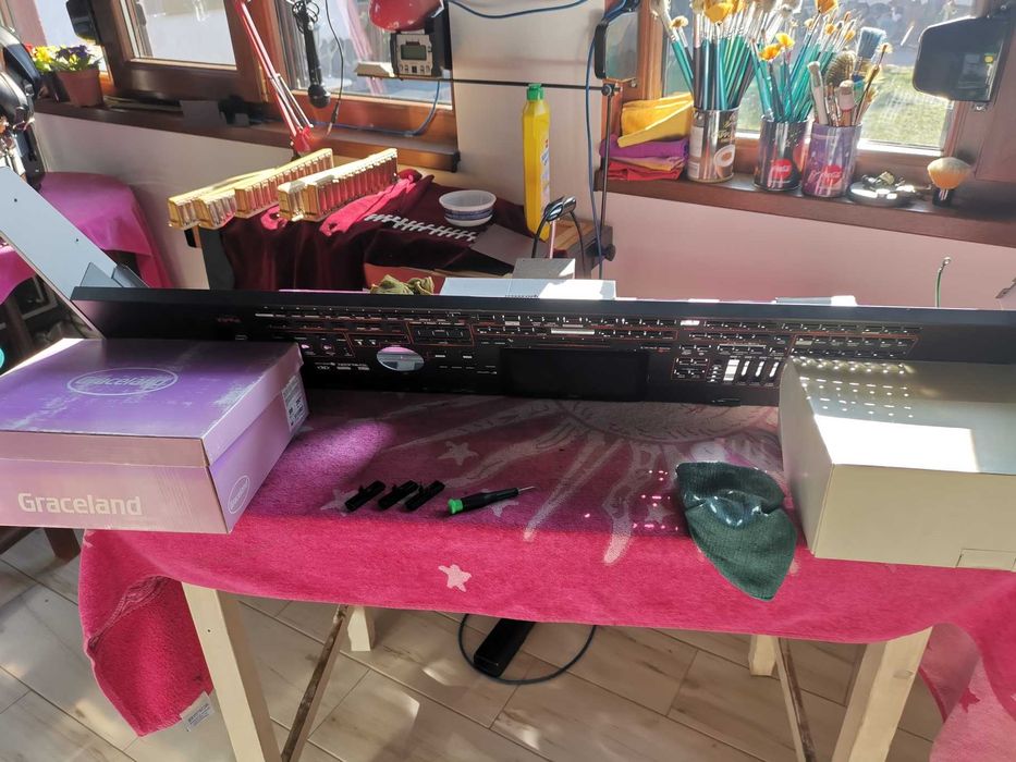 Estetizare, Igienizare Korg Pa