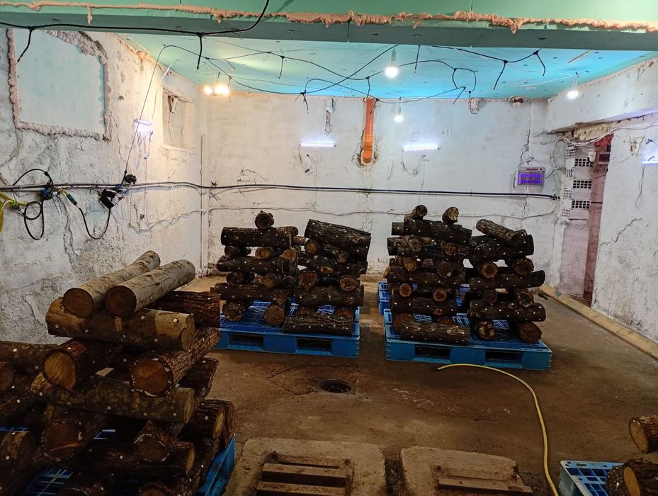 Дава се под наем Промишлена сграда в с. Яхиново, Област Кюстендил - 120 кв.м за 765 € - Снимка #11