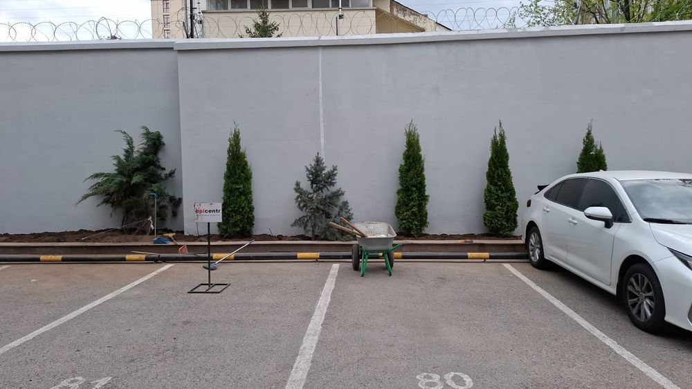 поливный система