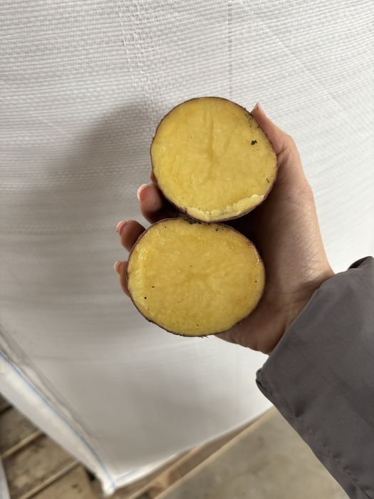 Cartofi soi allouette gust super