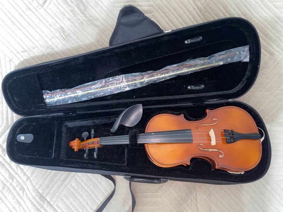 Скрипка Pastoral 1/2