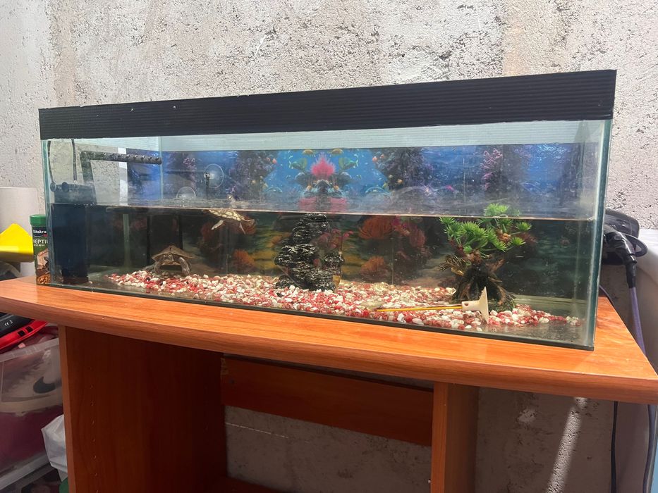 Acvariu pești 80 litri(aproximativ)