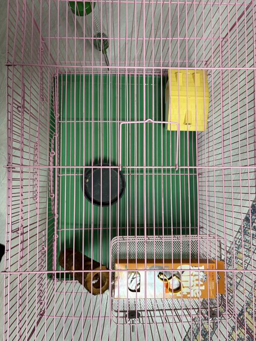 Клетка для грызунов