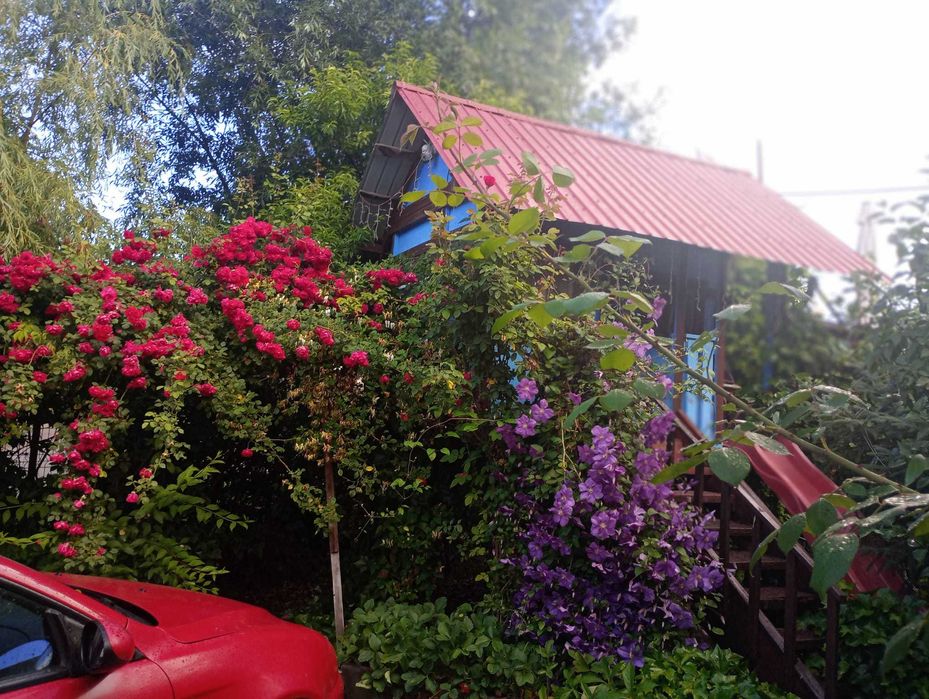 PROPRIETATE DEOSEBITĂ – Casă, Teren 2.500 MP si potential turistic