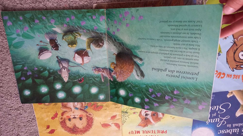 Lot de carti de povesti pentru copii