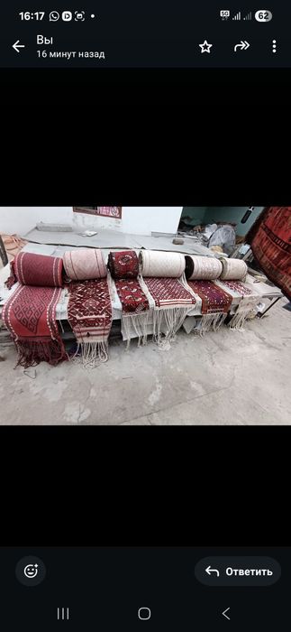 Басқұр баскур баулар