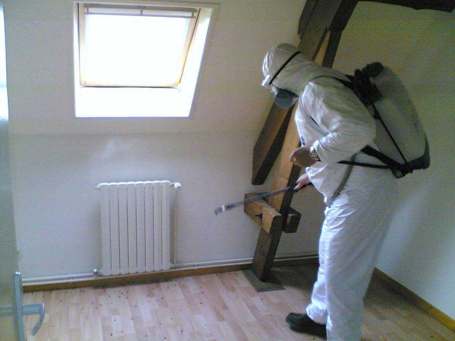 36 oy kafolat Dezinfeksiya 250 000 so'm. Tarkan, kana, klop, klapa