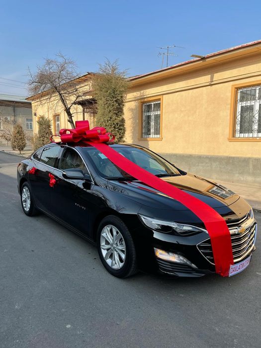 Bantiklar arzon narxta