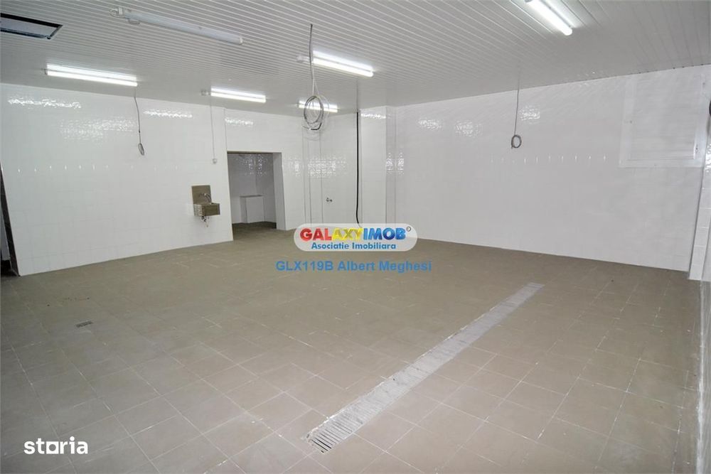 Vanzare spatiu productie alimentara P-ta Delfinului