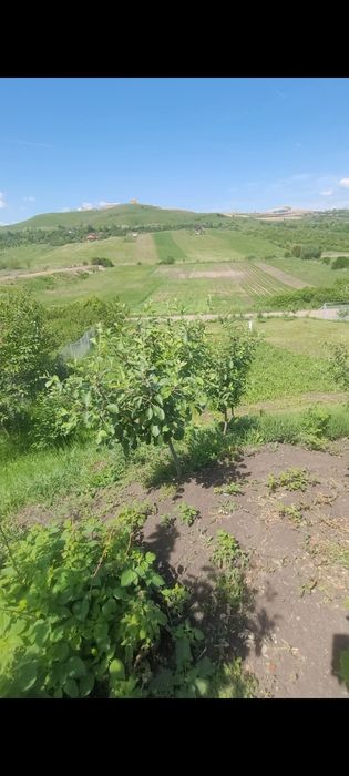 Vand teren intravilan Colonia Sopor 60 € mp , Cluj-Napoca.