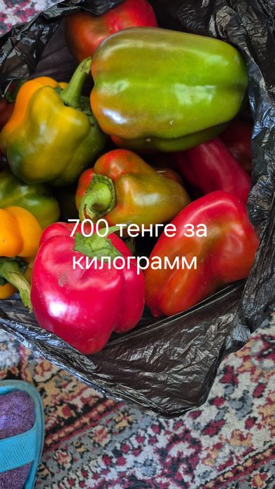 Продам перчик домашний