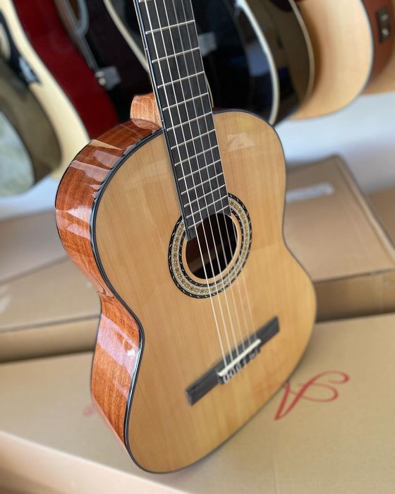 Гитара Agnetha AСG E150