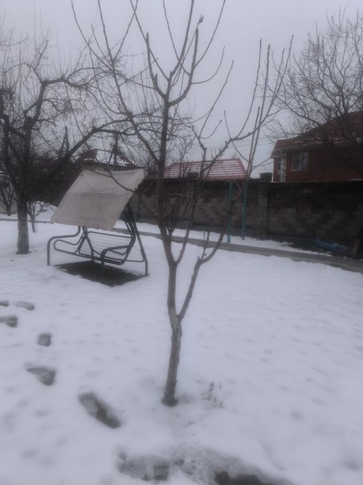 Обрезка деревьев. Обработка деревьев