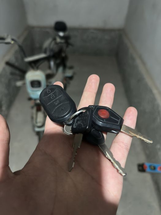 электроскутер,велосипед