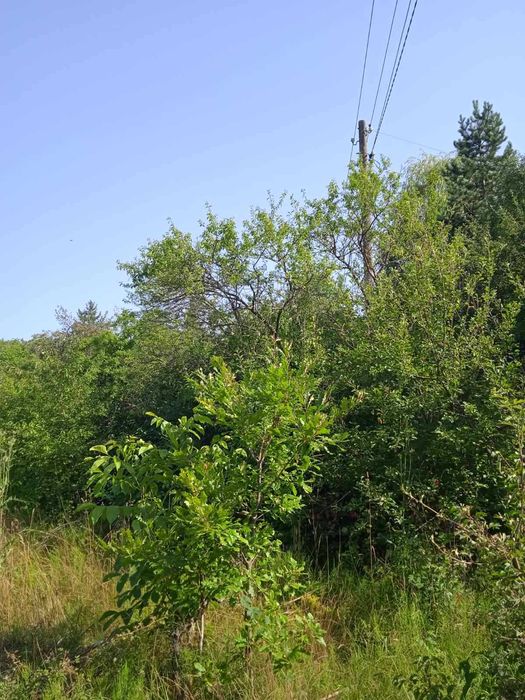 Продава се Парцел в с. Ялботина, Област София-област - 1000 кв.м за 15 €/кв.м - Снимка #7