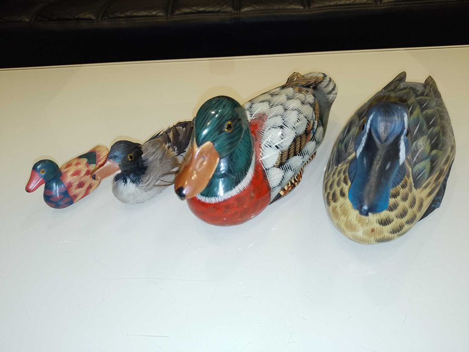 Rate/Pasari Decor Gradina