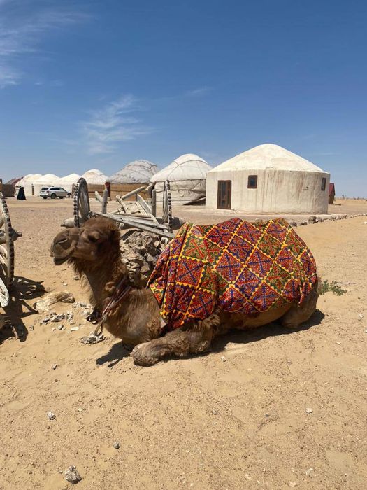Узбекистан Хива,личный гид, экскурсия, транспорт, пустыня, Ичан-Кала.