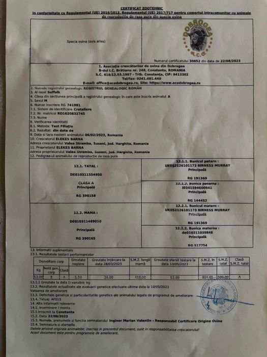 Vând berbec suffolk