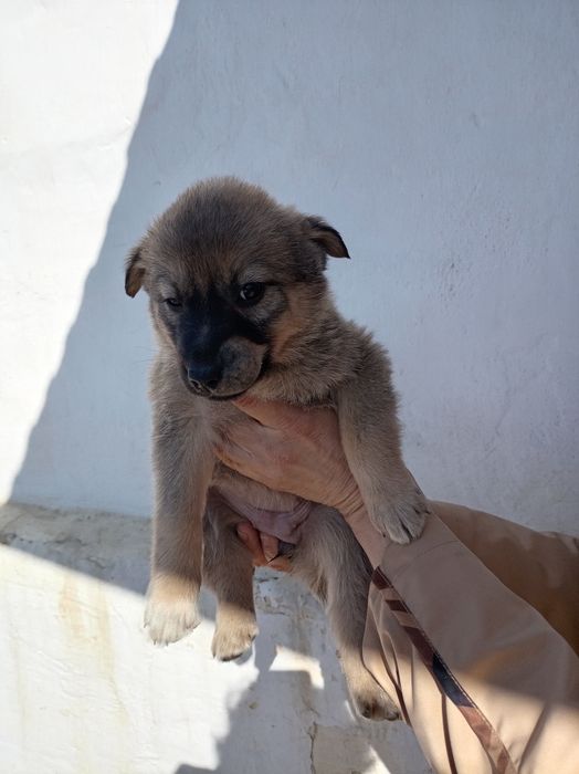 Бесплатно щинки девочки и мальчики