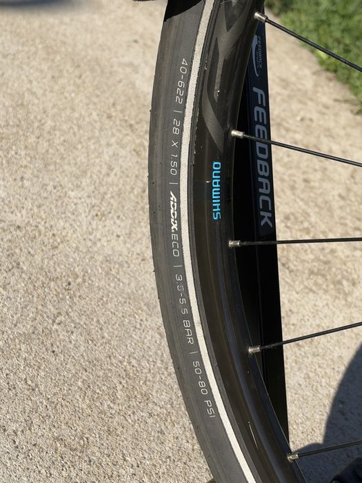 Cursiera RIDLEY