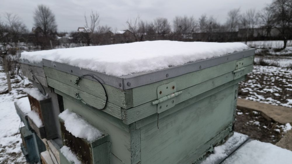 Cutii de stupi de 17 rame 3,3cm grosime