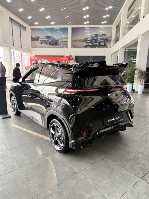 BYD Seagull 405km Flying