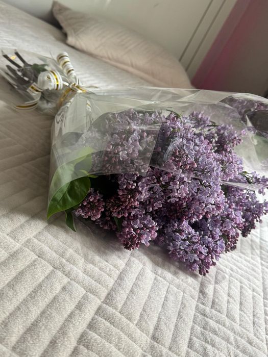 Свежи Серени ,есть доставка