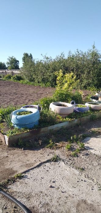 Продам дачу на Уралочке