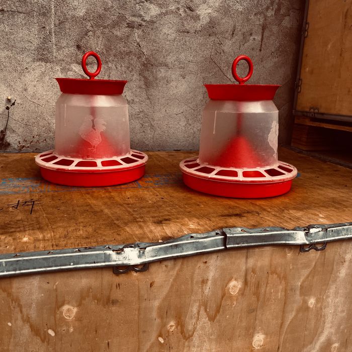 Кормушки для птиц