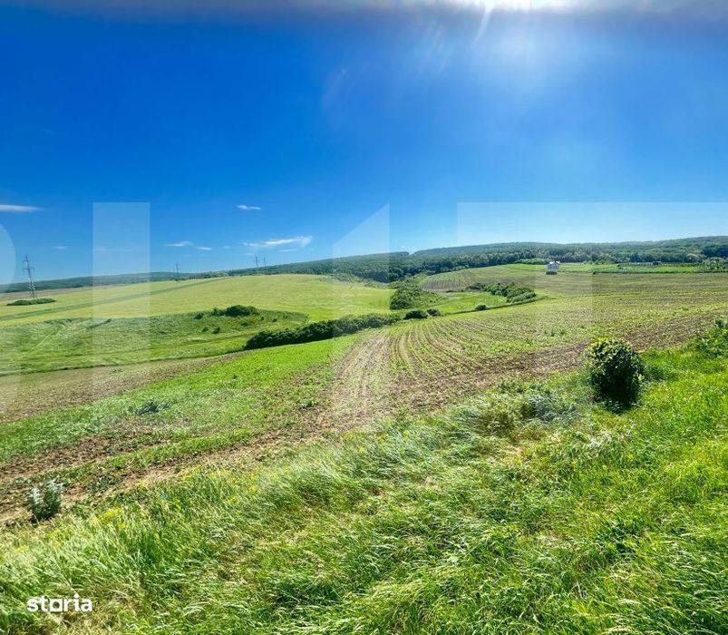 Teren intravilan de vanzare – Stancesti, la strada